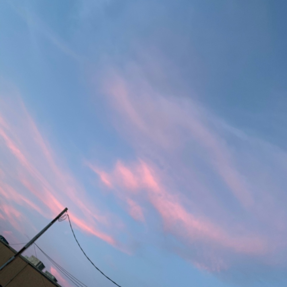 Meet your Posher, Sujin